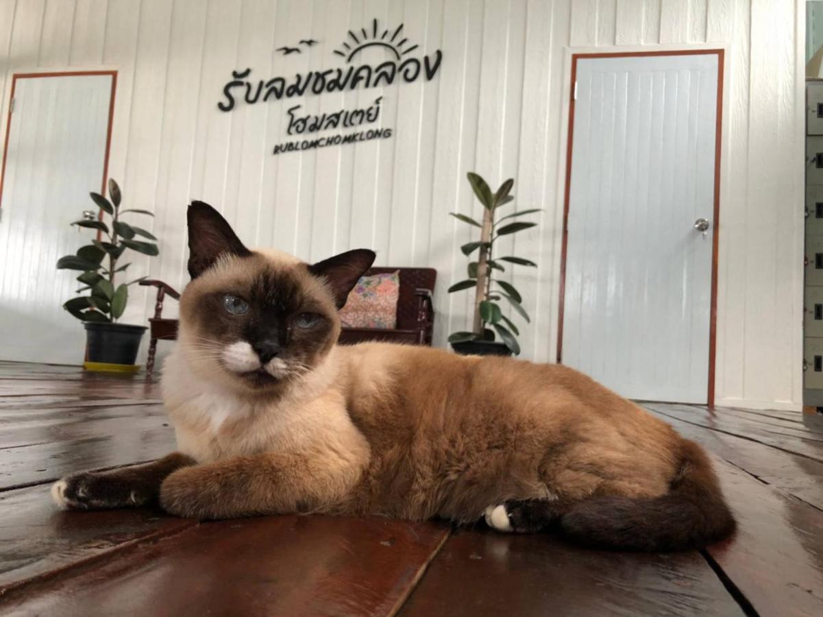 Rub Lom Chom Klong Homestay チュンポーン エクステリア 写真